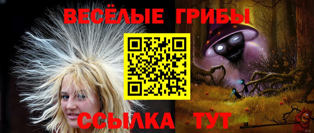 Псилоцибиновые грибы мухоморы Кимры