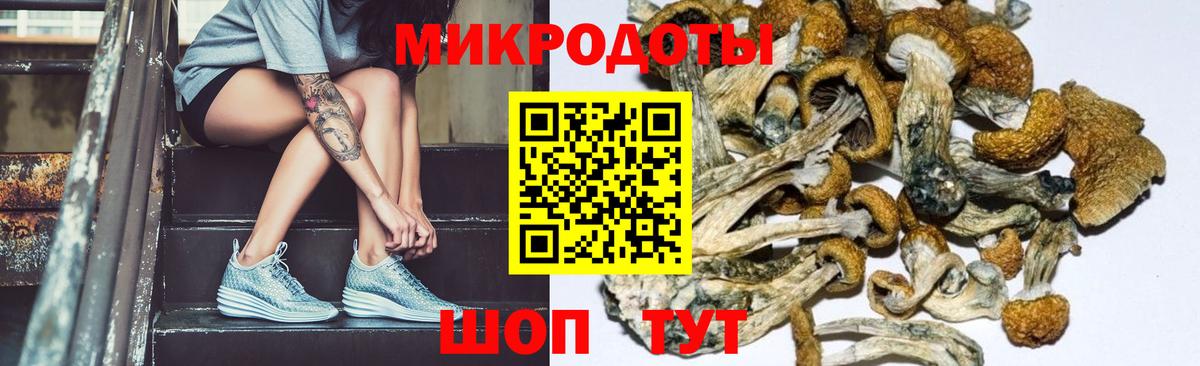 Кимры  наркошоп  Вход с VPN  Галлюциногенные грибы Cubensis  Псилоцибиновые грибы Cubensis 